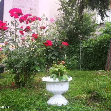 Apartament Hunter Appartement *