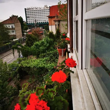 Lägenhet Apartament Hunter *